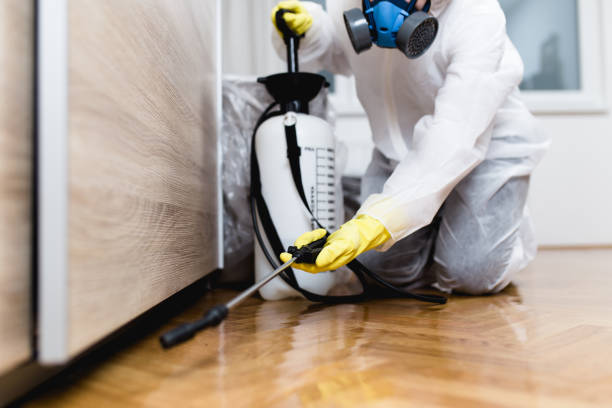 Grace, ID Pest Control Company