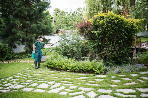 Best Pest Inspection Near Me  in Grace, ID