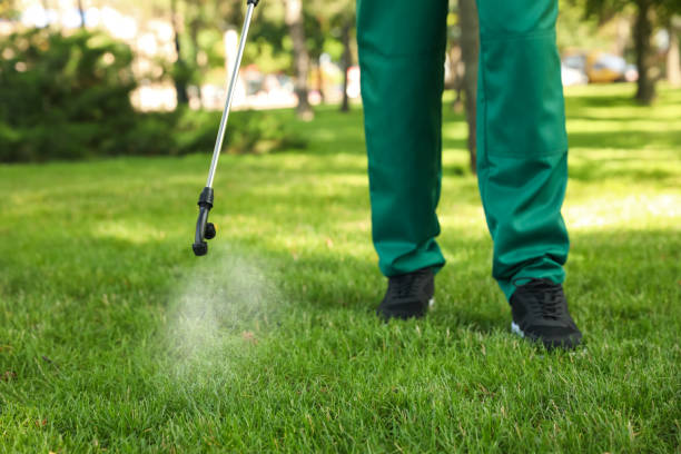Best Pest Control Near Me  in Grace, ID