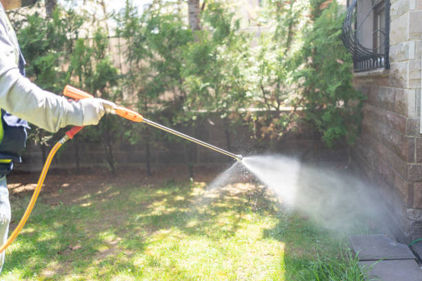 Best Best Pest Control Companies  in Grace, ID